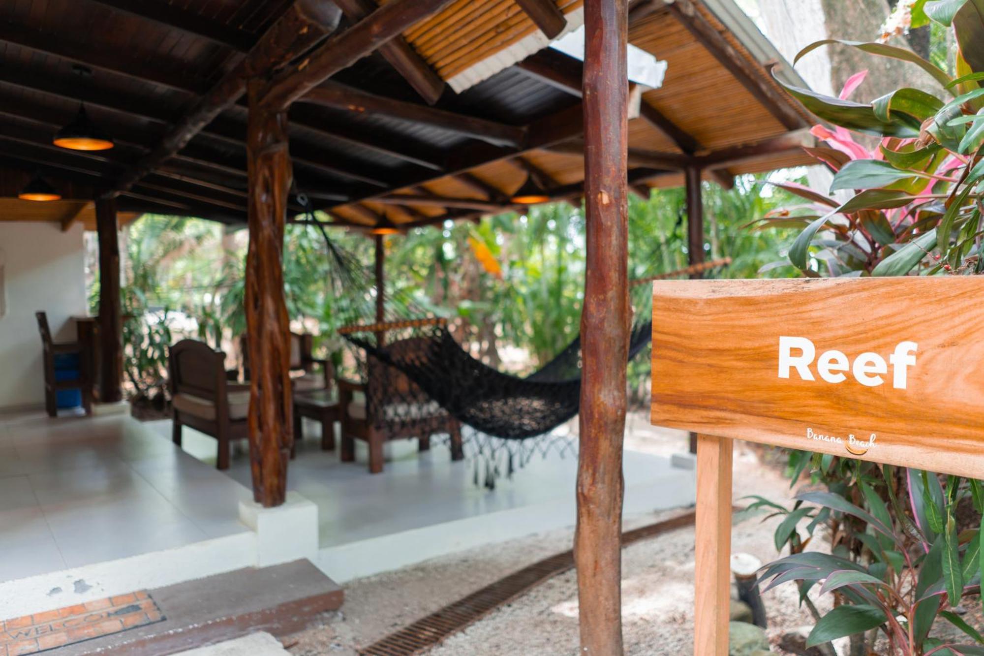 Banana Beach Bungalows Playa Santa Teresa  Ngoại thất bức ảnh